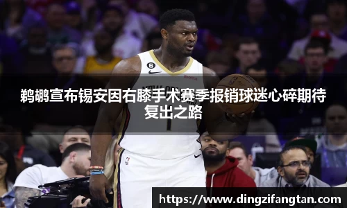 鹈鹕宣布锡安因右膝手术赛季报销球迷心碎期待复出之路